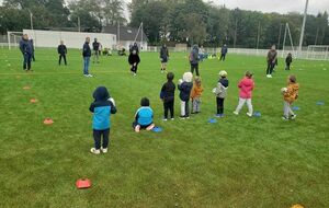 Les Baby-sharks en action !